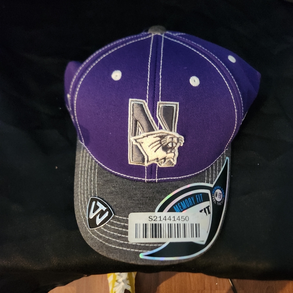 Northwestern University top of the world hat Wildcats